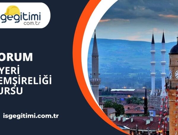 Çorum İşyeri Hemşireliği Kursu