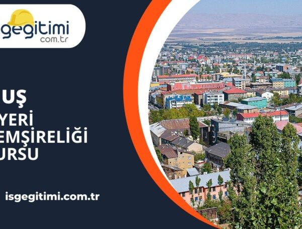 Muş İşyeri Hemşireliği Kursu